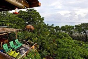 A balcony view of a house with a jungle